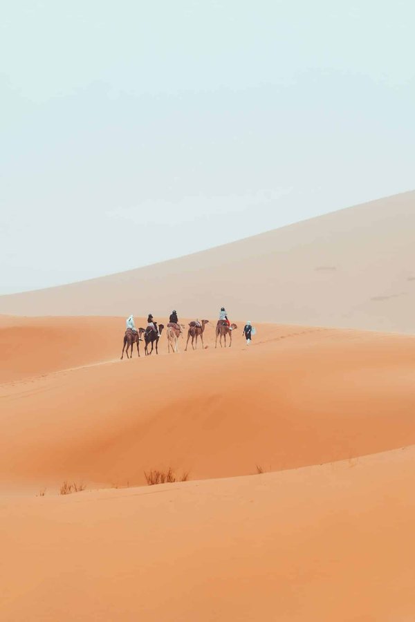 Quels préparatifs pour un trek à travers le parc national de Torres del Paine, Chili ?