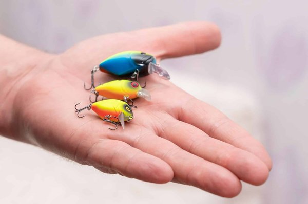 Quels sont les conseils pour choisir son matériel pour la pêche au brochet ?